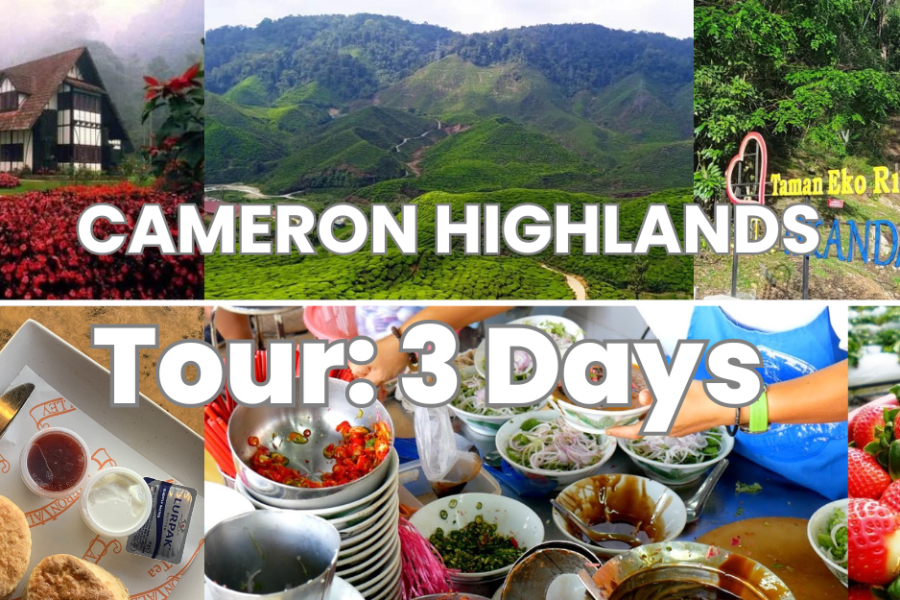 3 Days Kuala Lumpur to Cameron Highlands 3 Days Share trip