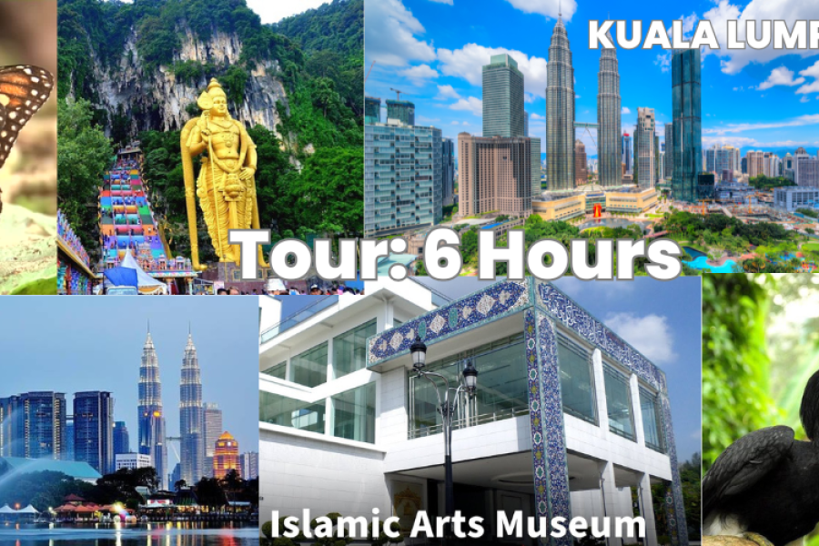 Kuala Lumpur private car with driver 6 hours City tour 3 Person.