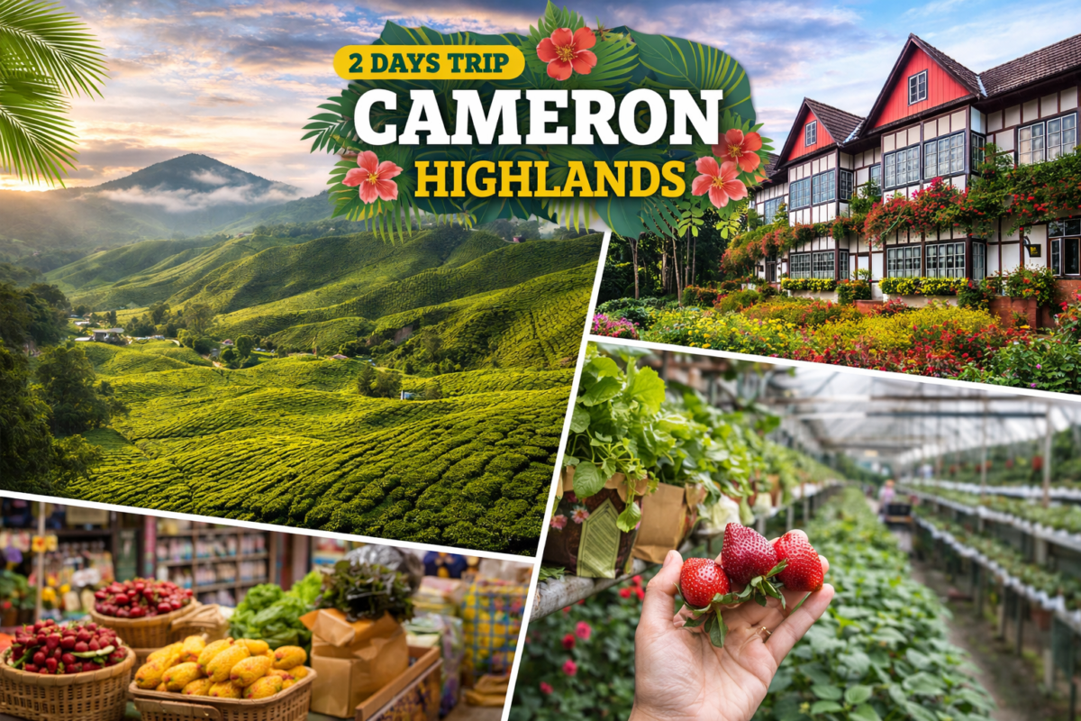 2 Days tour trip package to Cameron Highlands Malaysia Itinerary 2026