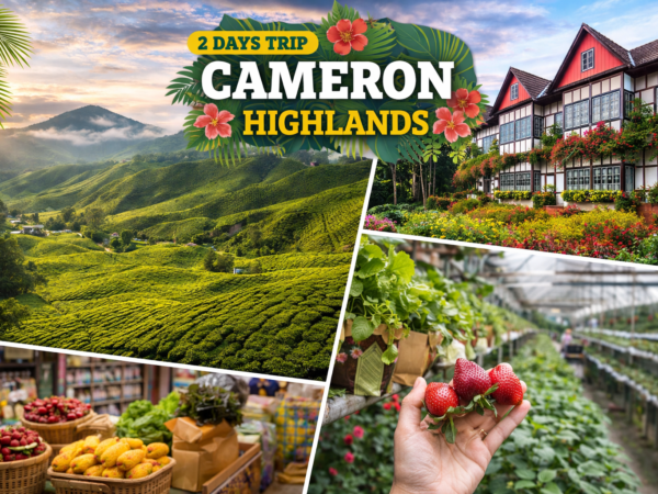 2 Days trip Cameron Highlands