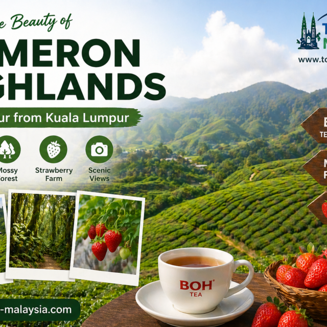 1 Day Cameron Highlands Tour from Kuala Lumpur – Itinerary