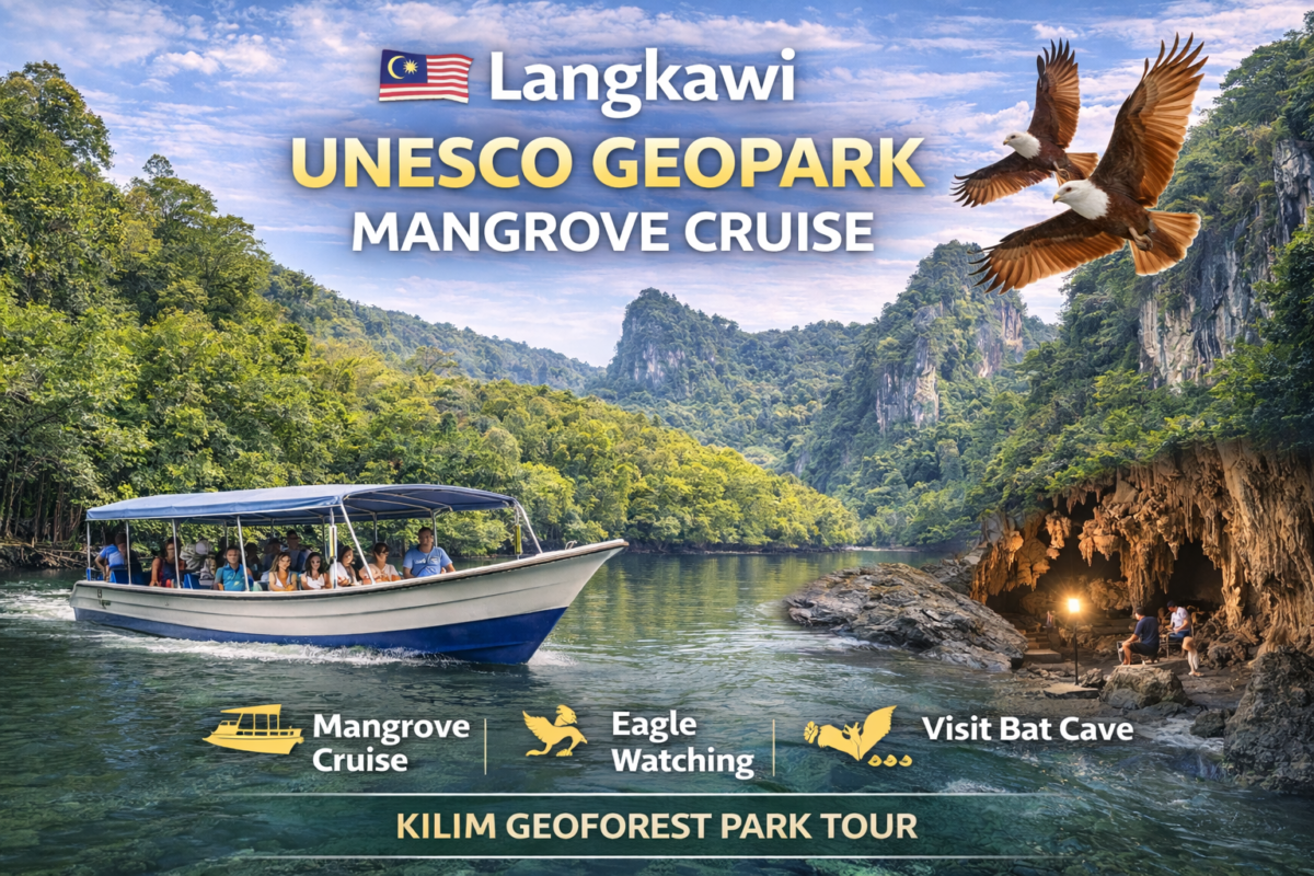 Langkawi Mangrove Cruise | UNESCO Geopark Kilim Tour Malaysia