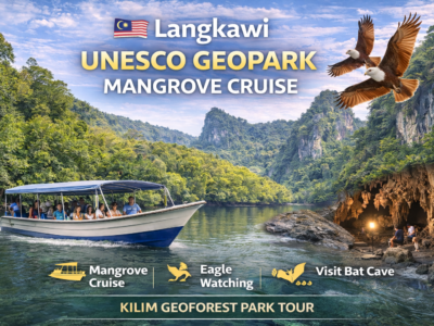 Langkawi Mangrove Cruise | UNESCO Geopark Kilim Tour Malaysia