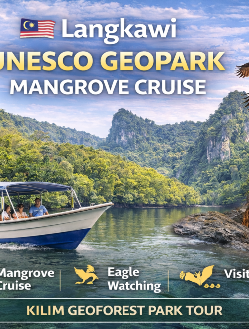 Langkawi Mangrove Cruise | UNESCO Geopark Kilim Tour Malaysia