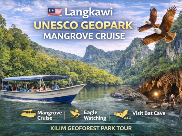 Langkawi Mangrove Cruise | UNESCO Geopark Kilim Tour Malaysia