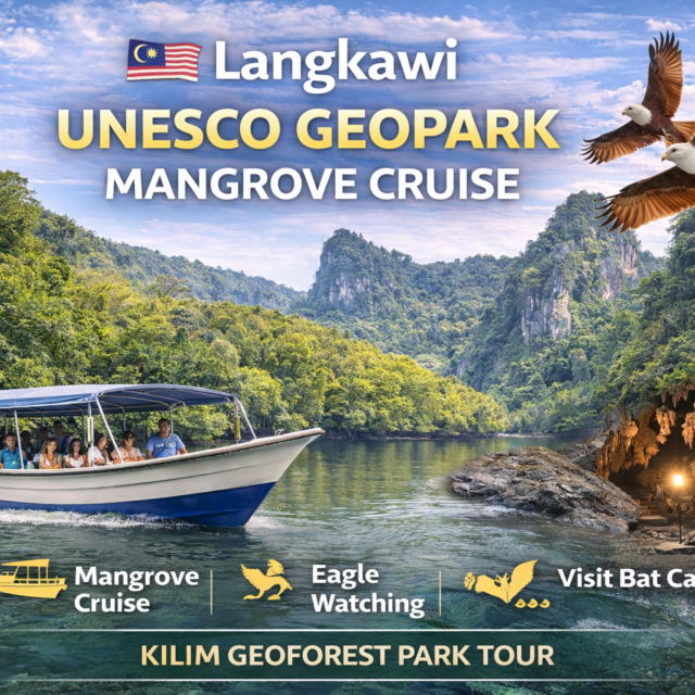 Langkawi Mangrove Cruise | UNESCO Geopark Kilim Tour Malaysia
